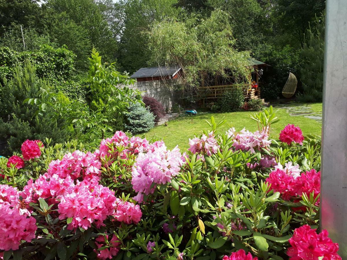 Villa-Seerose Cologne Luaran gambar